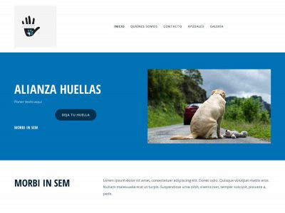 asociacionalianzahuellas.es snapshot