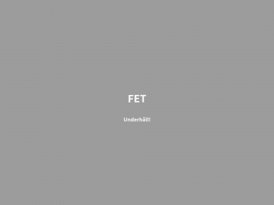 fet.pt snapshot