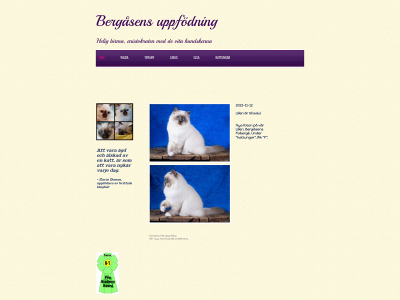 bergasens.se snapshot