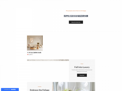 gooddayday.weebly.com snapshot
