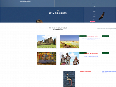 daniethiopievoyage.com snapshot