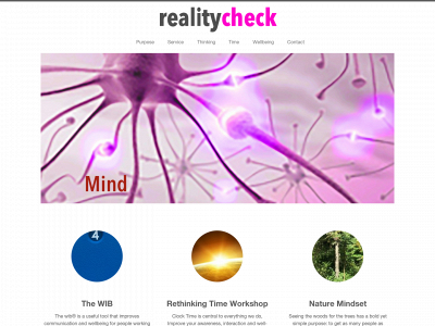 realitycheckconsultancy.com snapshot