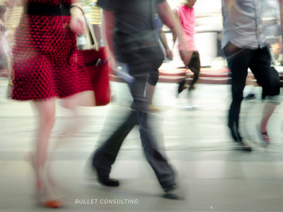 bullet-consulting.com snapshot