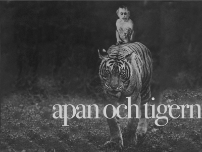 apanochtigern.com snapshot