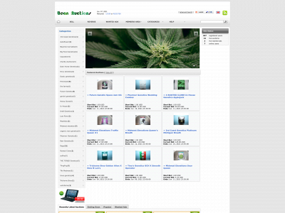 beanauctions.com snapshot
