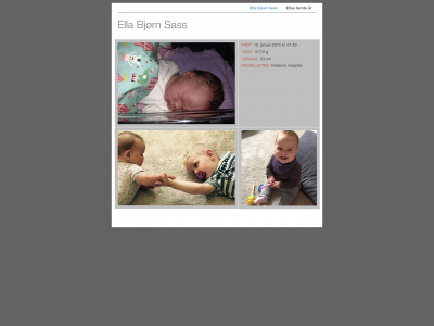 ellasass.dk snapshot