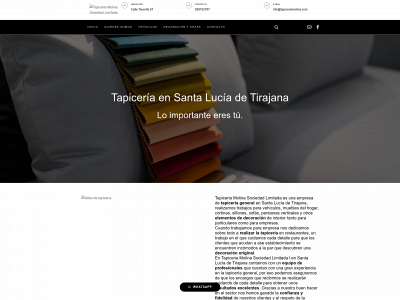 www.tapiceriamolina.es snapshot