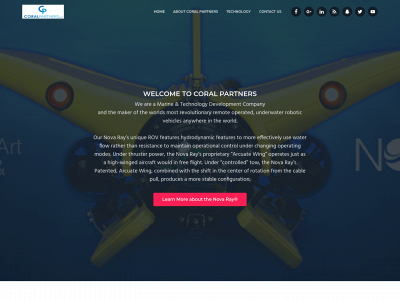 coralpartners.net snapshot