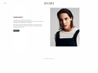 dammagency.dk snapshot