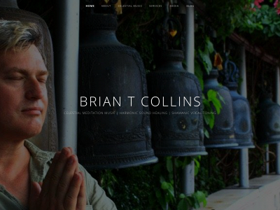 briantcollins.com snapshot