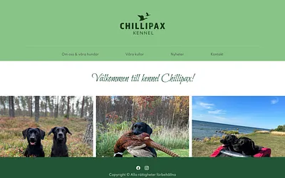 chillipax.se snapshot