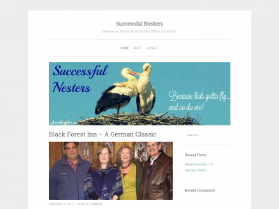 successfulnesters.com snapshot