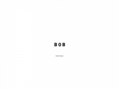 bobvandeveen.nl snapshot