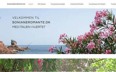 sonianeromante.dk snapshot