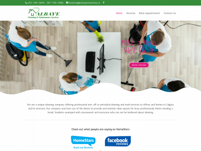 albayecleaning.ca snapshot