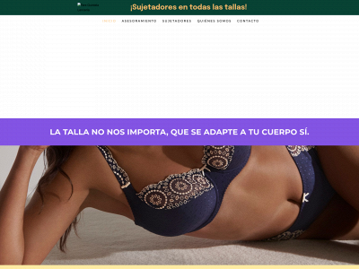 terequintelalenceria.com snapshot