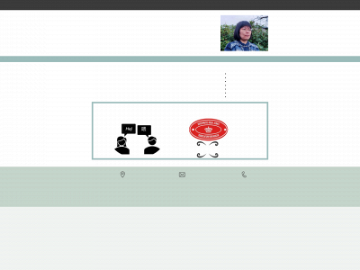 pingli.dk snapshot