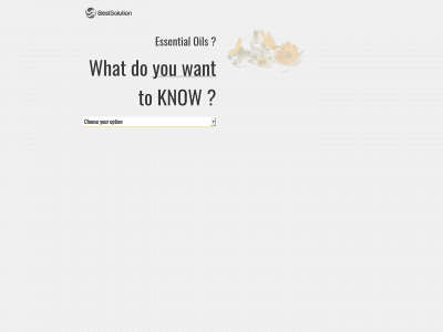 worldbestsolution.com snapshot
