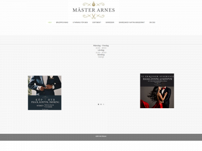 masterarnes.se snapshot
