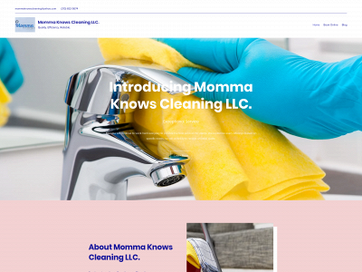 www.mommaknowscleaning.com snapshot