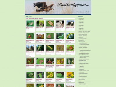 p4sizv4lgym4i.lt snapshot