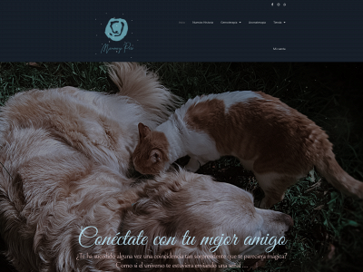 marowzipets.com snapshot