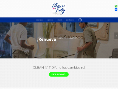 cleanntidybaq.com snapshot