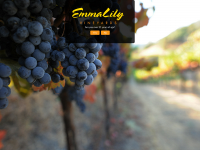 emmalilyvineyards.com snapshot
