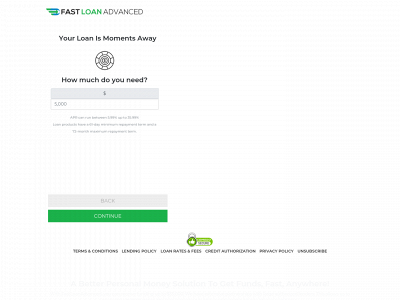 fastloanadvanced.com snapshot