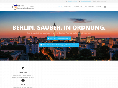 ringreinigung.de snapshot