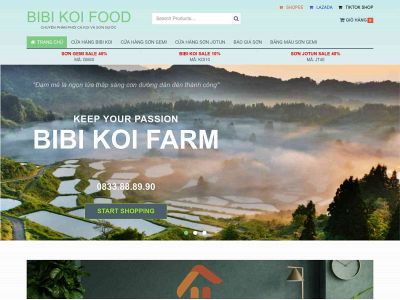 bibikoi.com snapshot