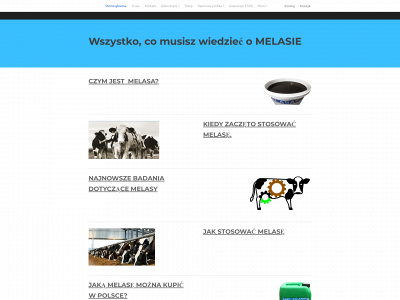www.melasa.com.pl snapshot