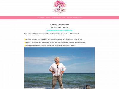 rozemilene.com snapshot