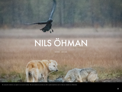 nilsohman.se snapshot