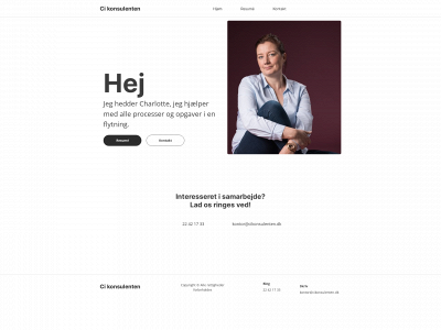 cikonsulenten.dk snapshot