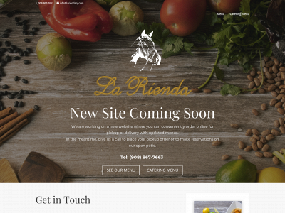 lariendanj.com snapshot