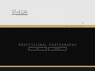 acbprecisionfocus.com snapshot