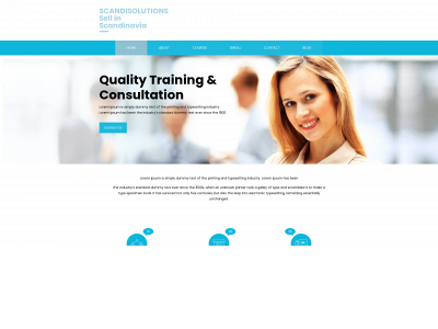 scandisolutions.com snapshot
