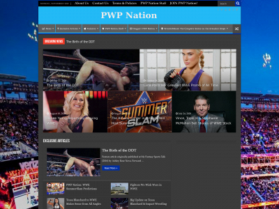 pwpnation.com snapshot