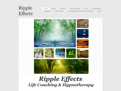 rippleeffects.biz snapshot