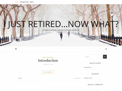 ijustretirednowwhat.com snapshot