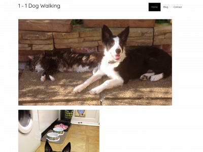 1-1dogwalking.co.uk snapshot