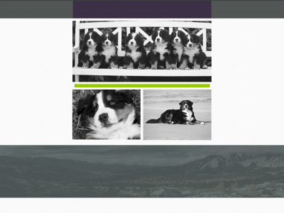 kennel-lillemus.dk snapshot