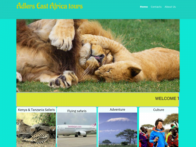 adlereastafricatours.co.ke snapshot