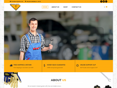 friendlysafety.com snapshot