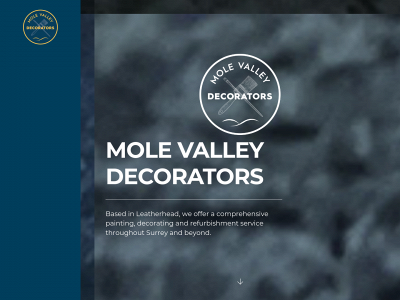 molevalleydecorators.co.uk snapshot
