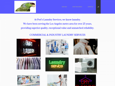pericleaners.com snapshot