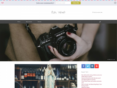 askvelvet.com snapshot