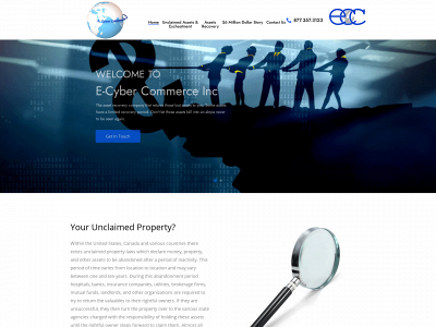 e-cybercommerce.com snapshot