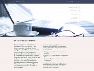thierrydevisse.com snapshot